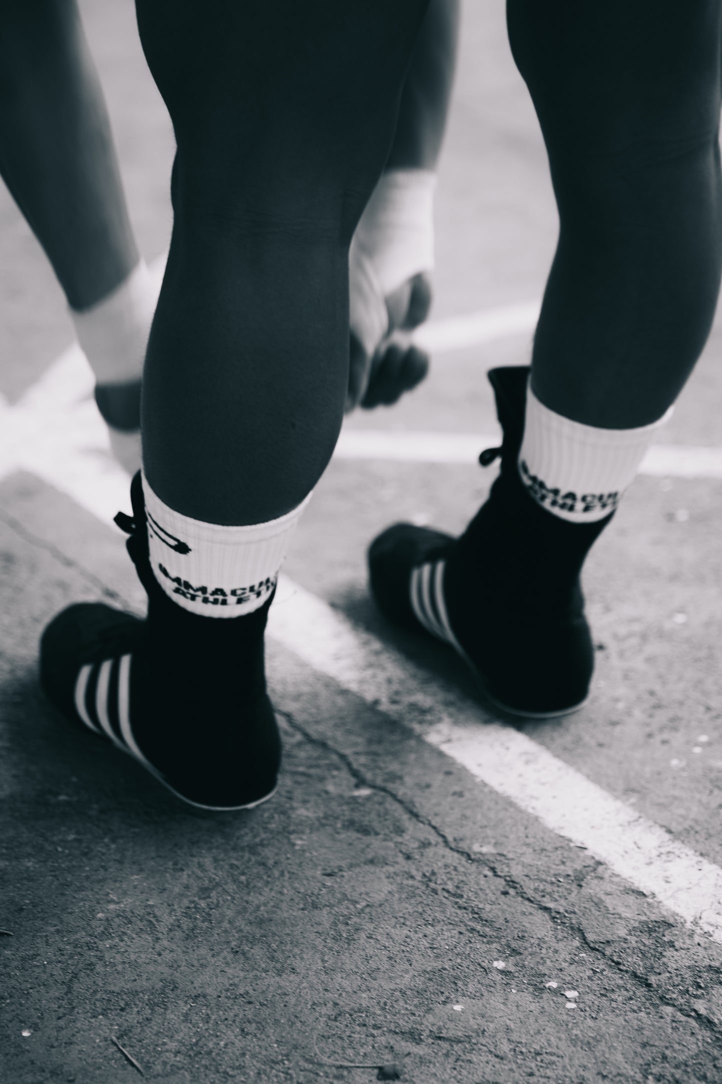Immaculate Athletics Division X Pitt Laurente Crew Socks