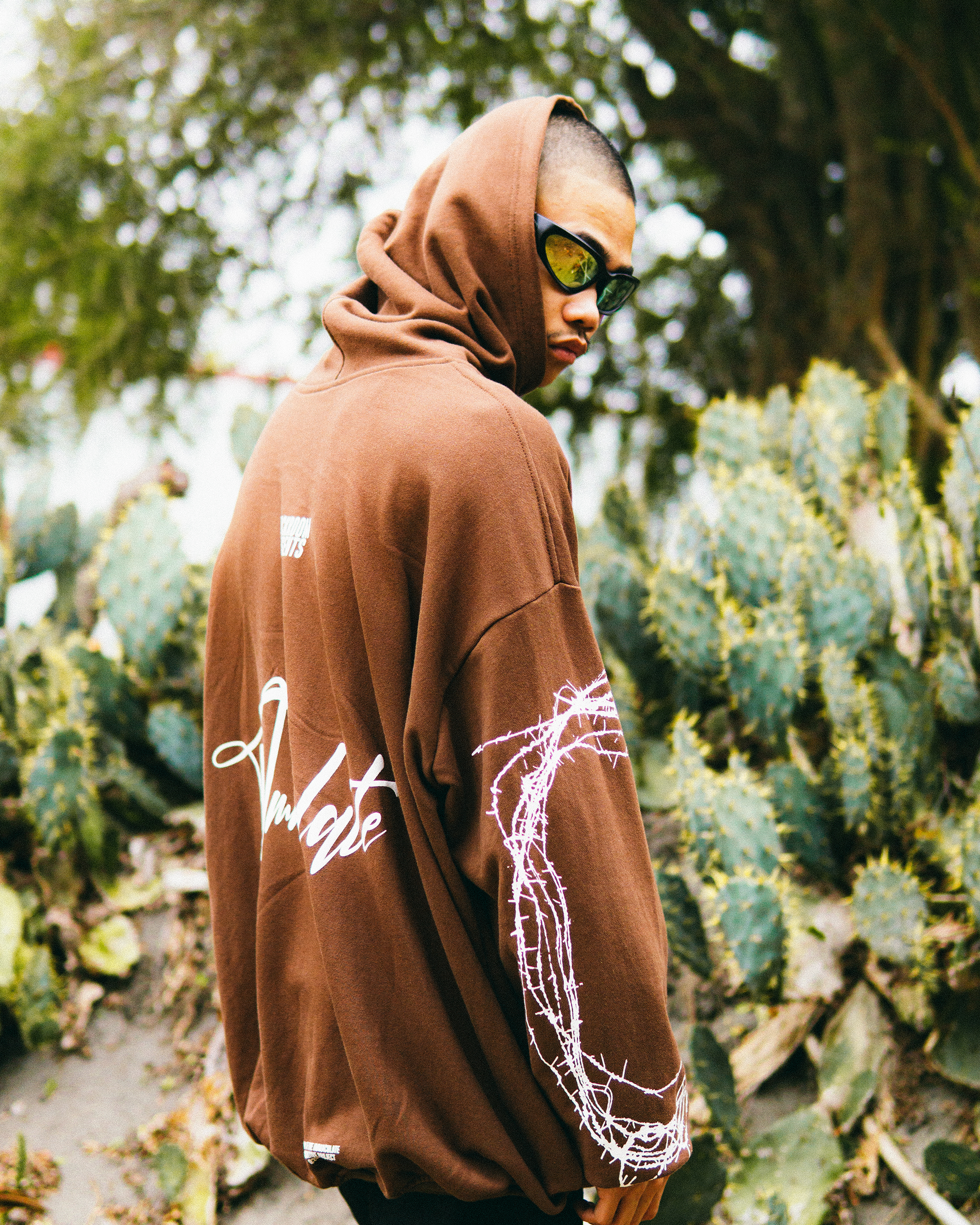 Braun Graphic Hoodie